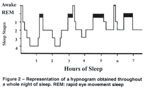 Sleep Cycle 2
